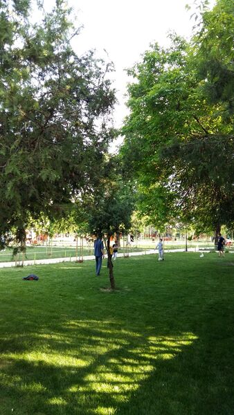 Salaj, Aleea Bacau, Parc Humulesti, 15 minute de Piata Unirii cu stb 117